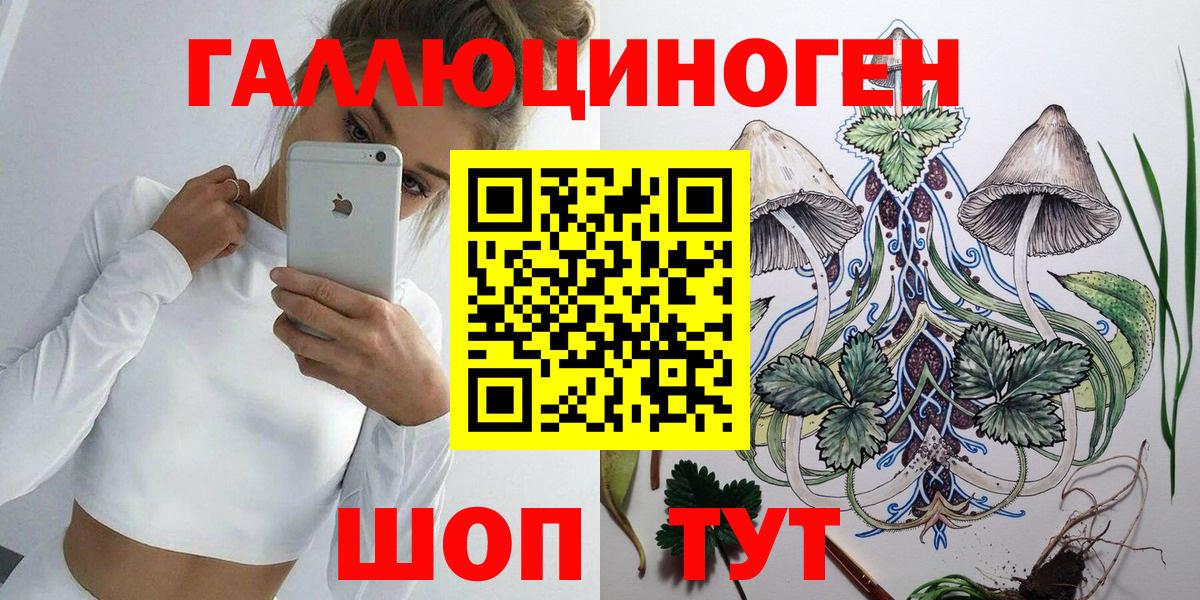 Заводоуковск  Псилоцибиновые грибы мицелий  Вход с VPN 