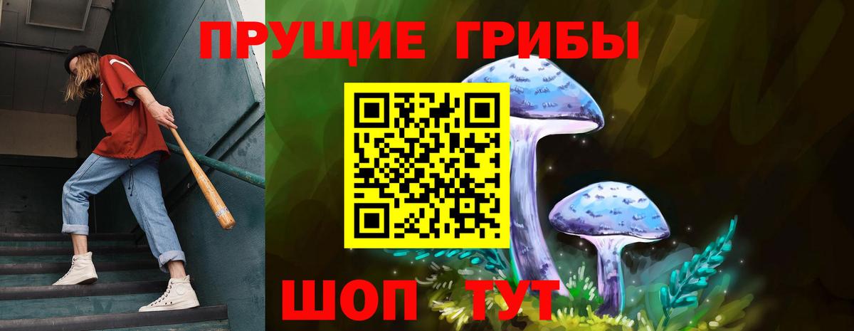 Галлюциногенные грибы мухоморы Заводоуковск